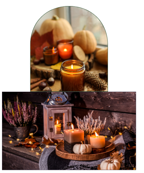 Fée de l'hÊtre, automne, Mabon, autel d'automne Accompagnement individuel pour adultes et parents à Evelette, chez Fée de l'hÊtre